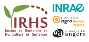 IRHS logo
